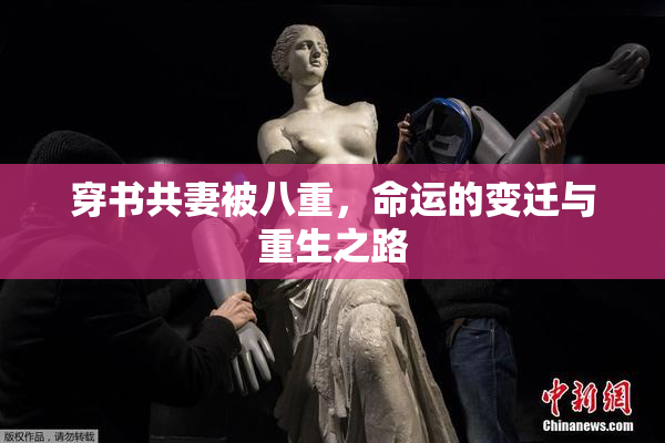 穿书共妻被八重，命运的变迁与重生之路