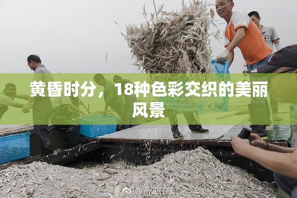 黄昏时分，18种色彩交织的美丽风景