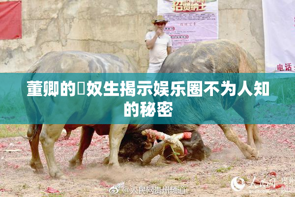 董卿的婬奴生揭示娱乐圈不为人知的秘密