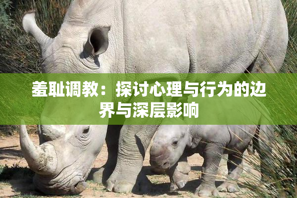 羞耻调教：探讨心理与行为的边界与深层影响