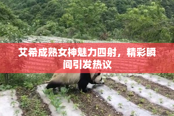 艾希成熟女神魅力四射，精彩瞬间引发热议