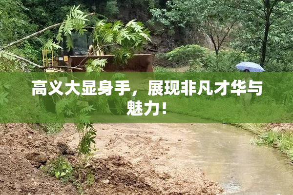 高义大显身手，展现非凡才华与魅力！