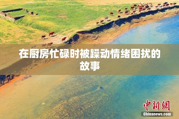 在厨房忙碌时被躁动情绪困扰的故事