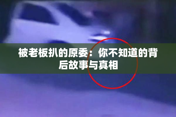 被老板扒的原委：你不知道的背后故事与真相