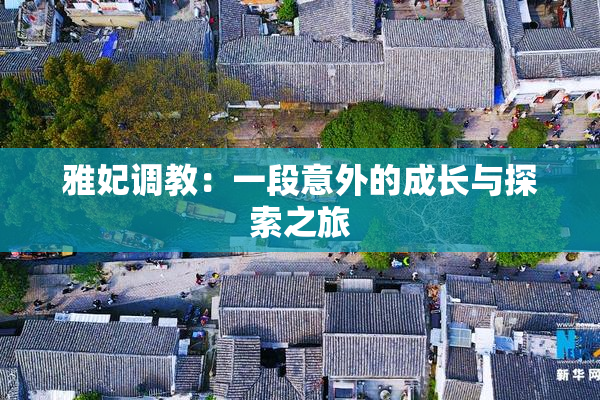 雅妃调教：一段意外的成长与探索之旅