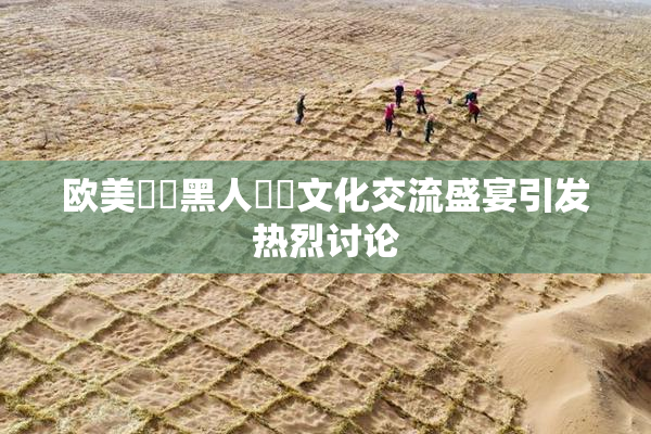 欧美❌‌黑人❌‌文化交流盛宴引发热烈讨论