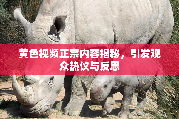 黄色视频正宗内容揭秘，引发观众热议与反思