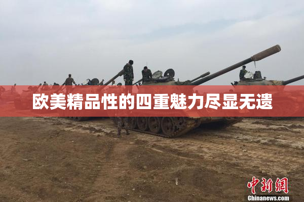 欧美精品性的四重魅力尽显无遗
