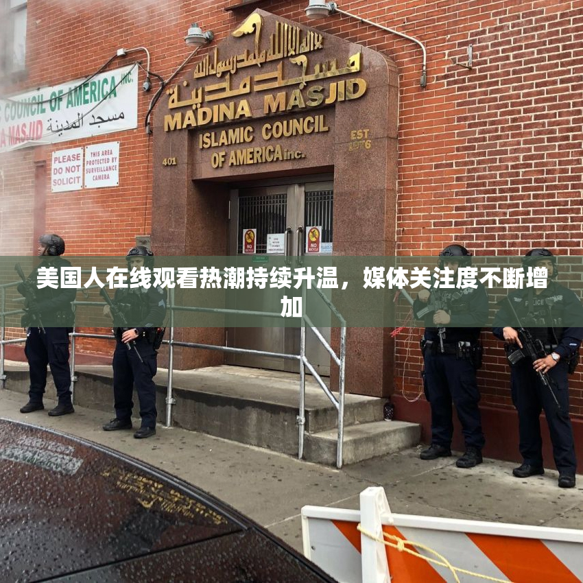 美国人在线观看热潮持续升温，媒体关注度不断增加
