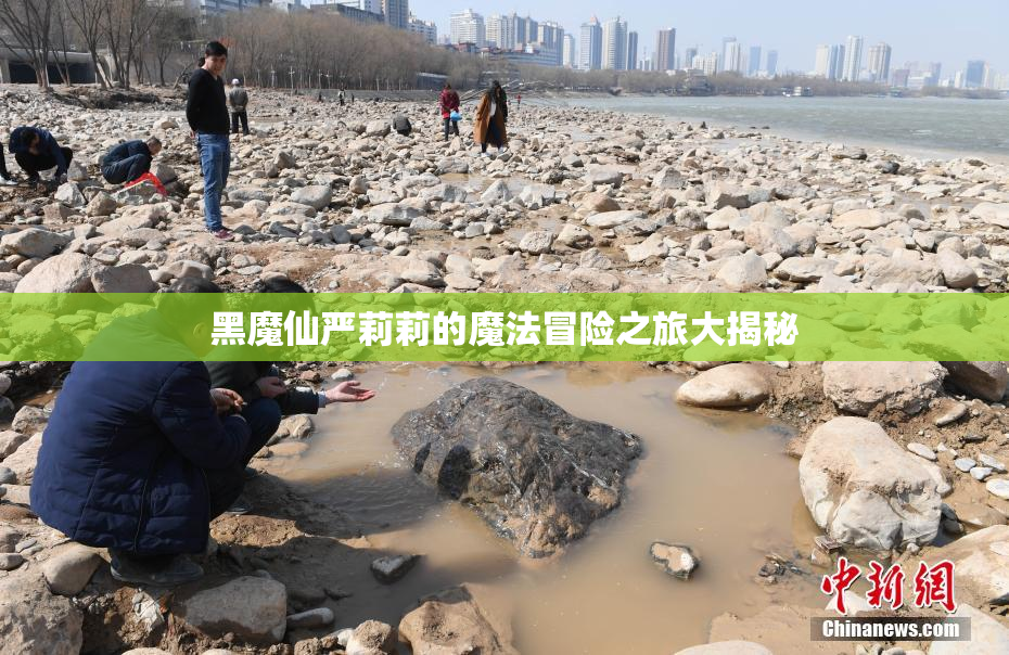 黑魔仙严莉莉的魔法冒险之旅大揭秘