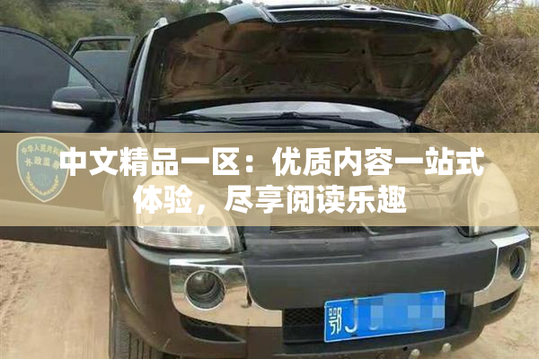 中文精品一区：优质内容一站式体验，尽享阅读乐趣