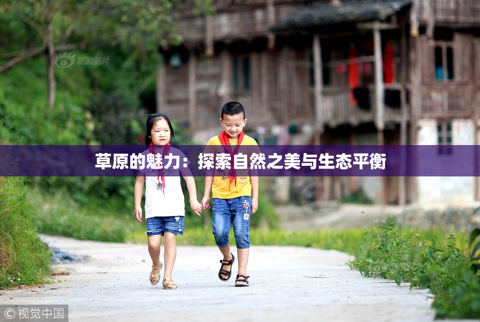 草原的魅力：探索自然之美与生态平衡