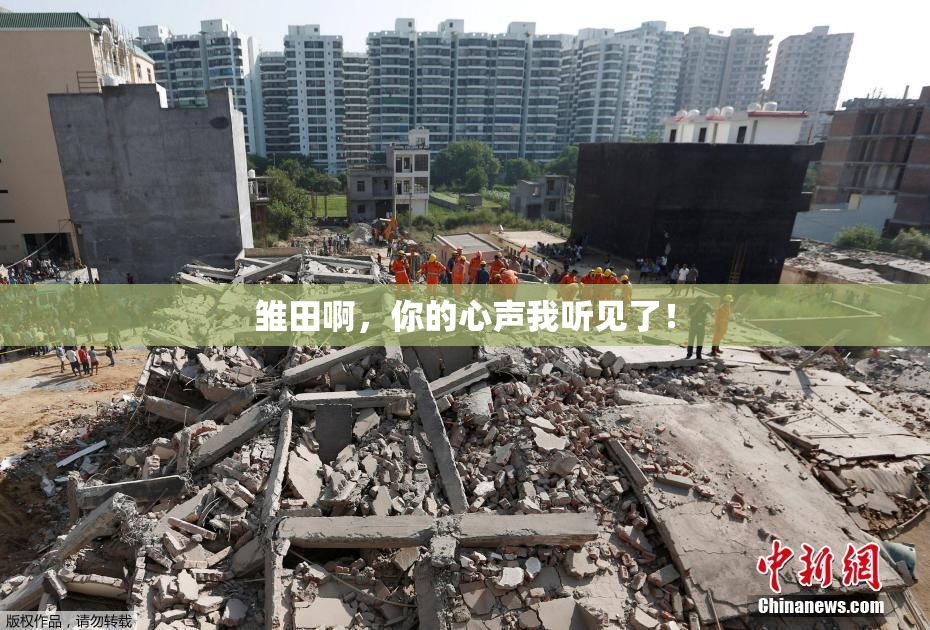 雏田啊，你的心声我听见了！