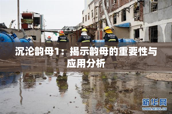 沉沦韵母1：揭示韵母的重要性与应用分析