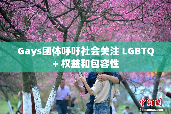 Gays团体呼吁社会关注 LGBTQ+ 权益和包容性