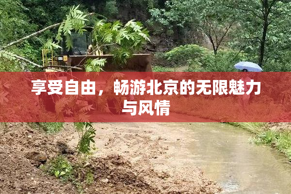 享受自由，畅游北京的无限魅力与风情