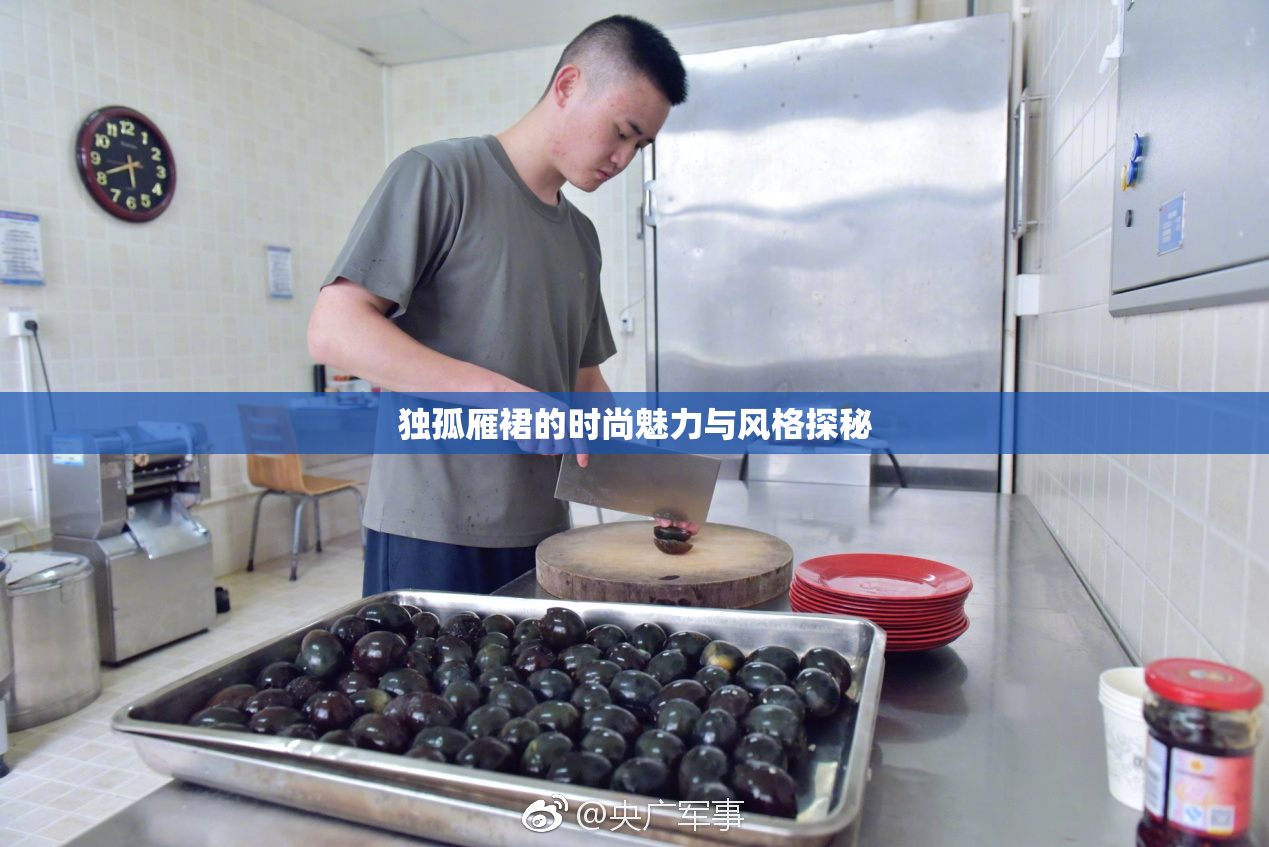 独孤雁裙的时尚魅力与风格探秘