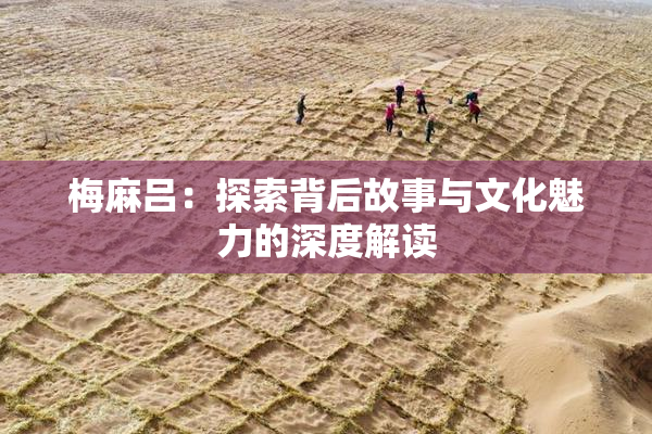 梅麻吕：探索背后故事与文化魅力的深度解读