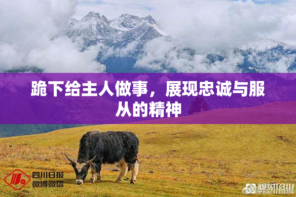 跪下给主人做事，展现忠诚与服从的精神