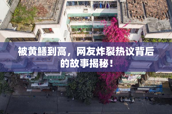被黄鳝到高，网友炸裂热议背后的故事揭秘！