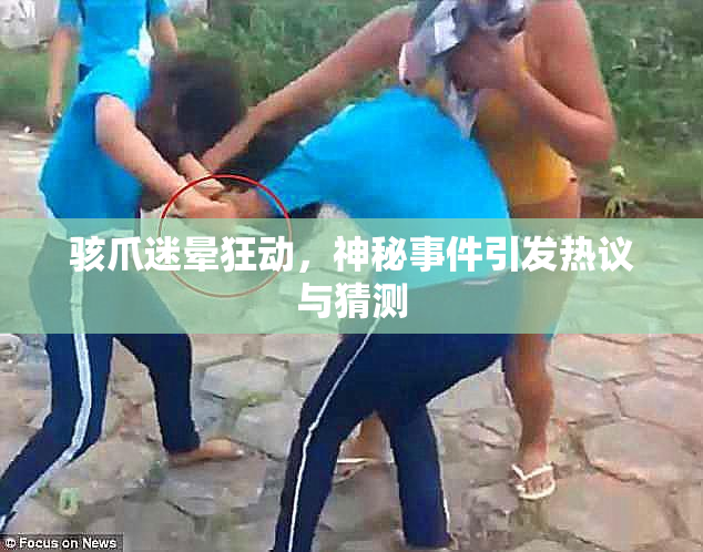 骇爪迷晕狂动，神秘事件引发热议与猜测