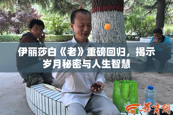 伊丽莎白《老》重磅回归，揭示岁月秘密与人生智慧