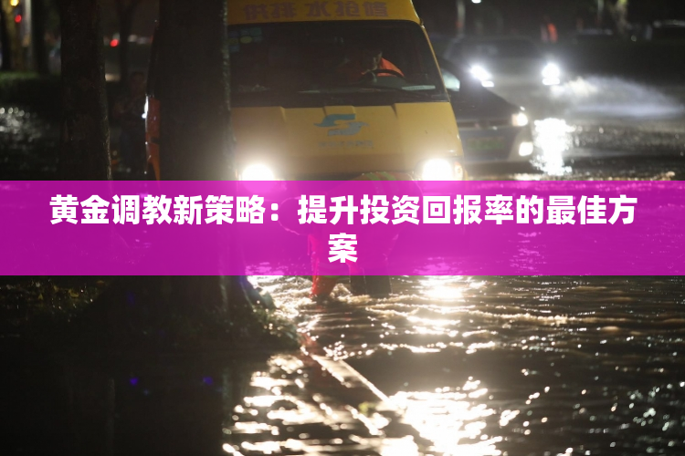 黄金调教新策略：提升投资回报率的最佳方案