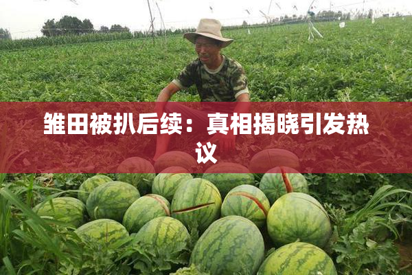 雏田被扒后续：真相揭晓引发热议