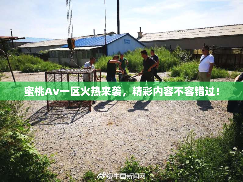 蜜桃Av一区火热来袭，精彩内容不容错过！