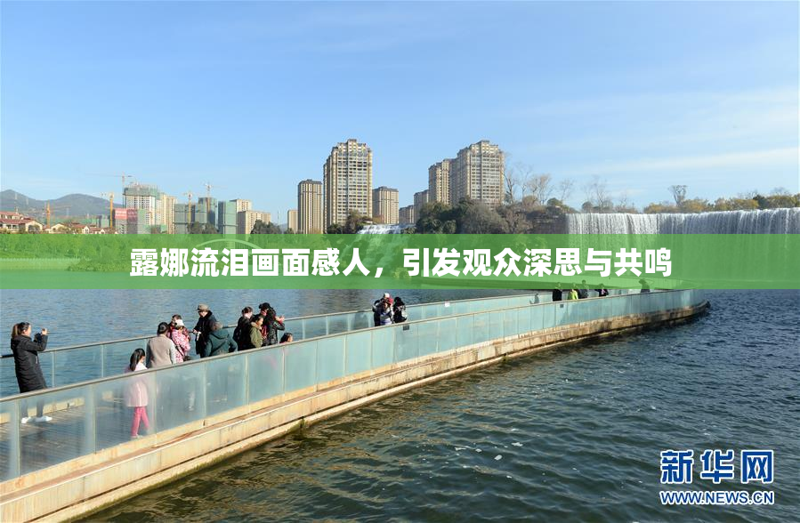 露娜流泪画面感人，引发观众深思与共鸣