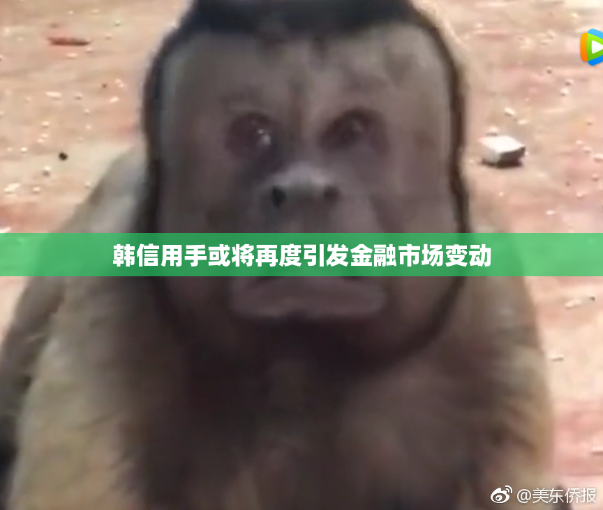 韩信用手或将再度引发金融市场变动