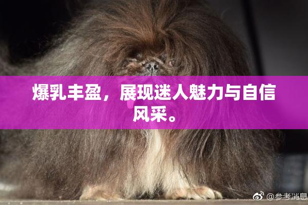 爆乳丰盈，展现迷人魅力与自信风采。