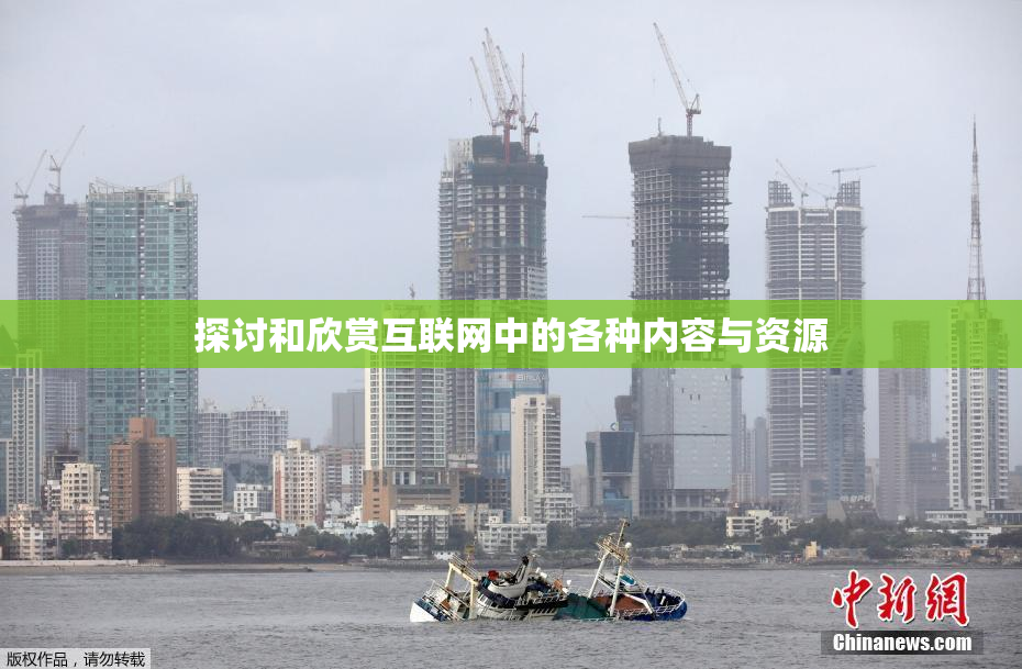 探讨和欣赏互联网中的各种内容与资源