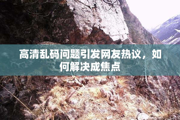高清乱码问题引发网友热议，如何解决成焦点