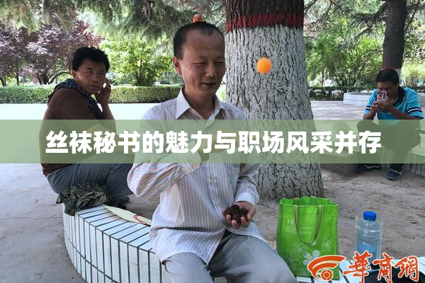 丝袜秘书的魅力与职场风采并存