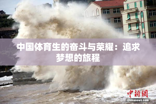 中国体育生的奋斗与荣耀：追求梦想的旅程
