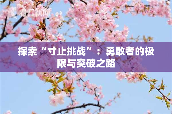 探索“寸止挑战”：勇敢者的极限与突破之路