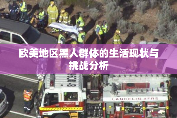 欧美地区黑人群体的生活现状与挑战分析