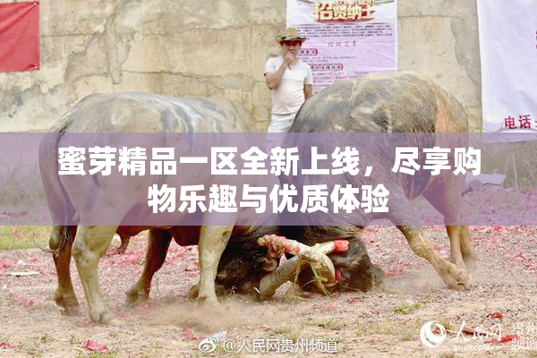 蜜芽精品一区全新上线，尽享购物乐趣与优质体验