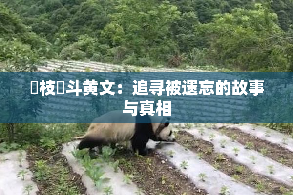 狛枝凪斗黄文：追寻被遗忘的故事与真相