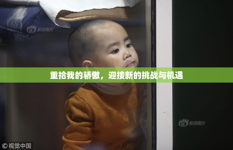 重拾我的骄傲，迎接新的挑战与机遇