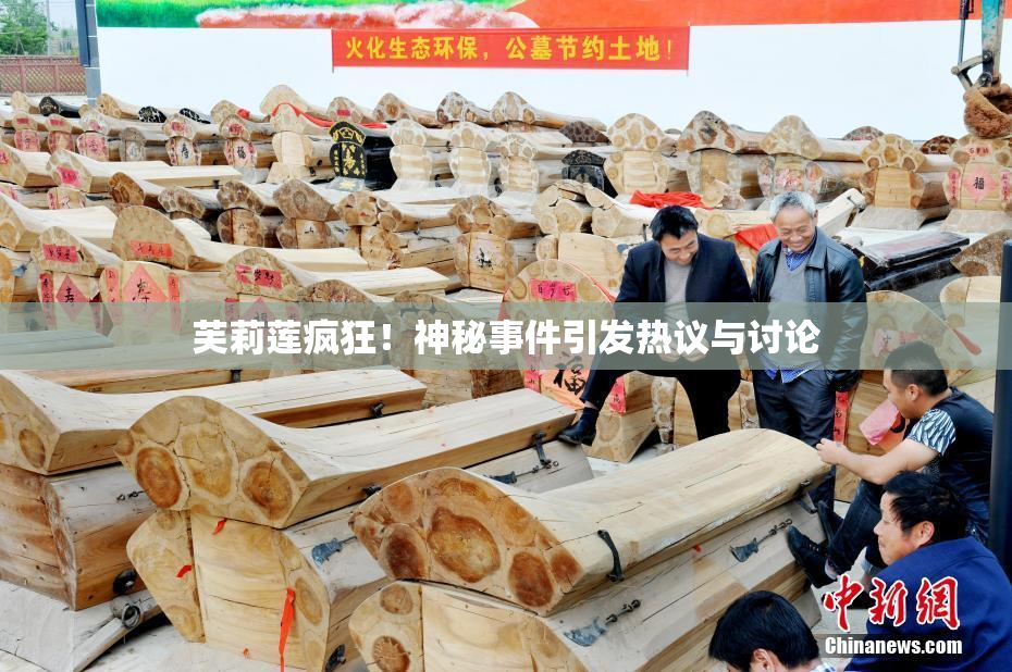 芙莉莲疯狂！神秘事件引发热议与讨论