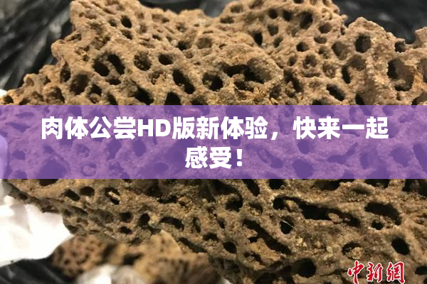 肉体公尝HD版新体验，快来一起感受！