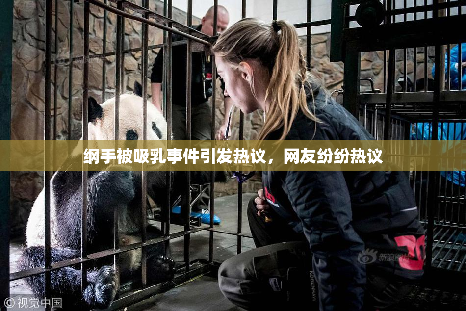 纲手被吸乳事件引发热议，网友纷纷热议