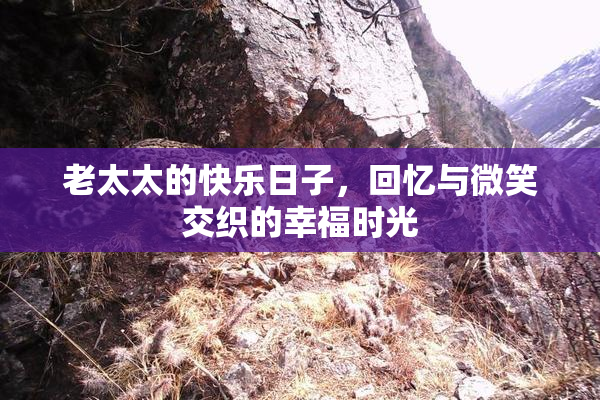 老太太的快乐日子，回忆与微笑交织的幸福时光