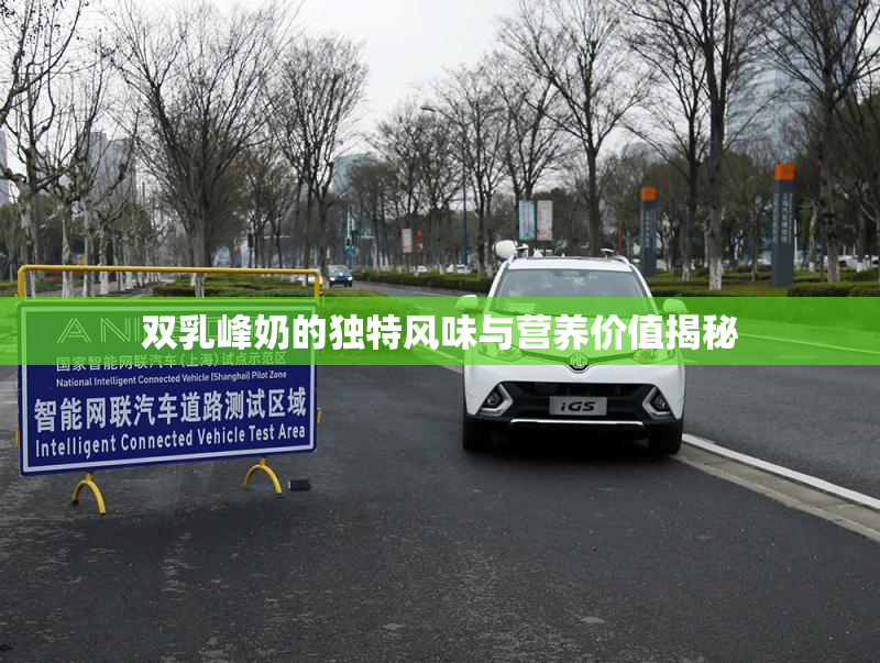双乳峰奶的独特风味与营养价值揭秘