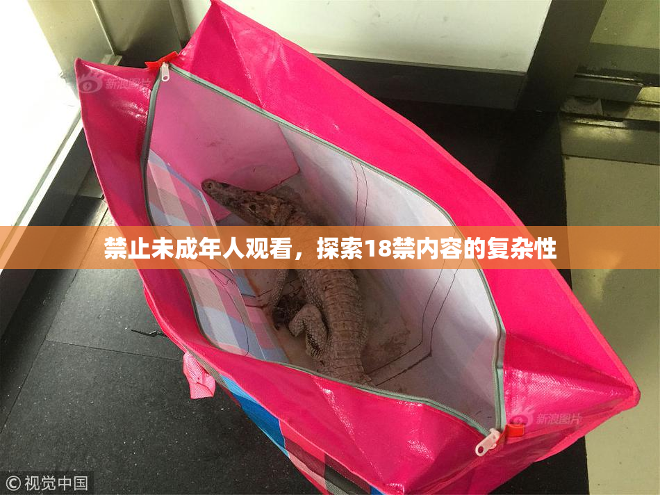 禁止未成年人观看，探索18禁内容的复杂性