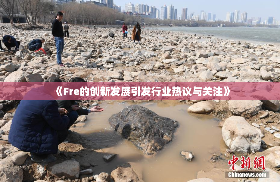 《Fre的创新发展引发行业热议与关注》