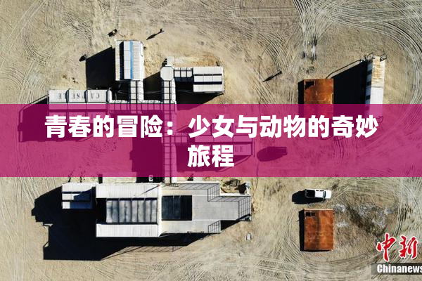 青春的冒险：少女与动物的奇妙旅程