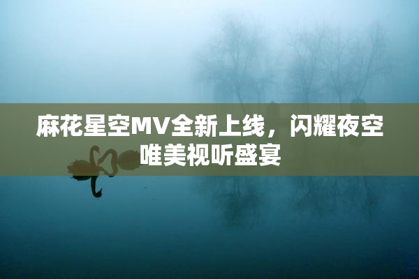 麻花星空MV全新上线，闪耀夜空唯美视听盛宴